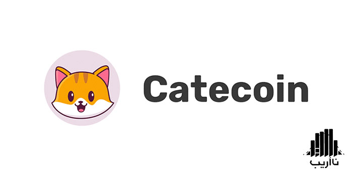 224-Catecoin-memcoin-project-on-2022.jpg