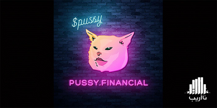 224-PussyFinancial-memcoin-project-on-2022.jpg