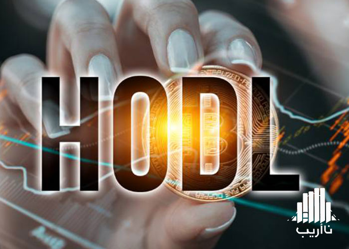 HODL-cryptocurrency-terminology.jpg